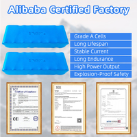 Paquete de Baterías de Iones de Litio Lifepo4 de 12.8V 13Ah Personalizado por el Fabricante POEAE