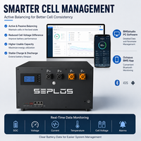 Batterie Lifepo4 Seplos Energy EU Stock 48V 51.2V 314Ah, batterie solaire au lithium 15Kwh 16Kwh, batteries lithium-ion Powerwall