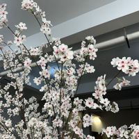 Branches de cerisier artificielles en soie longues et suspendues, fausses vignes de sakura pour décoration de plafond et de mariage