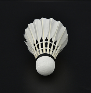 Ensemble de badminton avec queue de navette - Product Image 5