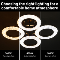Lustre décoratif en forme de cercle, luminaire suspendu pour couloir, plafonnier LED à intensité variable, 3 couleurs d'éclairage