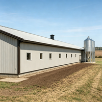 Gallinero Prefabricado Moderno de Estructura de Acero Anticorrosión para Cría en Capas, Base Duradera para Cría de Aves de Corral, Personalizable