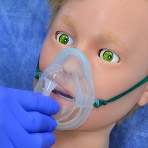 MEDVISION ARTHUR Simulador de Entrenamiento con Maniquí Anatómico de Silicona para Ciencias Médicas con Certificación CE - Product Image 5