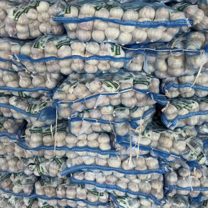 2025 Ajo blanco fresco normal 5,5 cm 6,0 cm Semillas de ajo para <span class=keywords><strong>plantar</strong></span> vegetales Proveedor mayorista Alho Fresco Popular en Brasil - Product Image 2