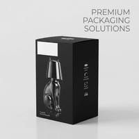 Boîte cadeau personnalisée haut de gamme à double insert, réutilisable, directement de l'usine |   Conception de logo sans frais de frais de reproduction, services d'emballage tout-en-un