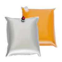 Sacs d'emballage 5L 10L pour liquides avec valve, sacs en plastique pour liquides, jus, vin rouge et stockage d'eau