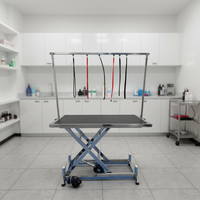 Table vétérinaire électrique pliable en acier inoxydable réglable en hauteur, légère et mobile, pour chiens et chats