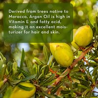 Huile d'Argan en Gros / Huile d'Argan Naturelle en Vrac / Huile d'Argan du Maroc pour Shampooing et Masque