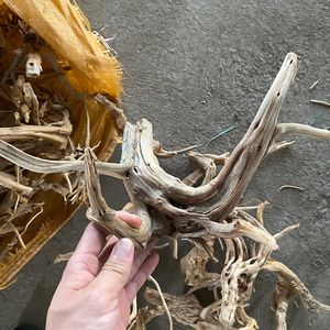 Kayu akuarium driftwood alami tangki ikan lansekap dekorasi, kayu laba-laba habitat akar, memanjat kotak hewan peliharaan akar pohon - Product Image 3