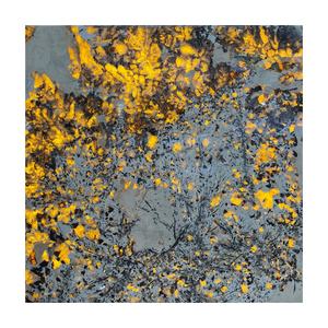 หินอ่อนสีฟ้าภูเขาหิมะธรรมชาติ: คุณภาพมากกว่าราคาหอมหรูหราเหมาะกับสไตล์ - Product Image 1