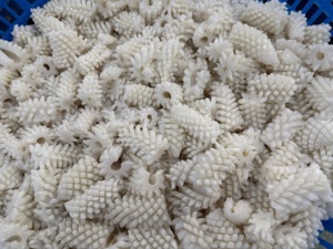 Khác Nhau Chất Lượng Tốt Hot Bán Mực Hoa Khổng Lồ Mực Hoa Đông Lạnh Và Nấu Chín Khổng Lồ Mực Hoa - Product Image 3