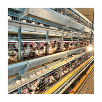 Cage à poules pondeuses automatique de type H en acier, nouvelle équipement d'élevage avicole pour la production d'œufs