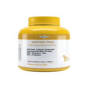 OEM ODM hewan peliharaan Premium DHA nutrisi kehamilan kunyah lembut dengan asam folat Grain-Free suplemen organik untuk ibu janin anjing/kucing - Product Image 2