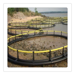 Piège <span class=keywords><strong>à</strong></span> poissons avec <span class=keywords><strong>Cage</strong></span>, équipement pour élevage de poissons <span class=keywords><strong>à</strong></span> <span class=keywords><strong>vendre</strong></span> - Product Image 4