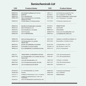 Ipsenol (Ingredient) bahan aktif gonggongan Beetle pheromon cair ramah lingkungan Ips Spp. Jebakan pemantauan - Product Image 3