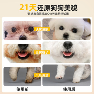 แชมพูสุนัข Qio Pet น้ำอิออน ไม่ต้องล้างออก ทำความสะอาดปาก กำจัดขน ขจัดกลิ่น 3 in 1 ทำความสะอาดล้ำลึก ดูแลขน - Product Image 1