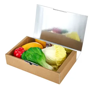 Produttore e fornitore di scatole di spedizione isolate Premium Foil Styrofoam Cooler Boxes consegna kit mobili
