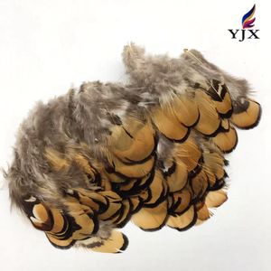 Vente en gros de plumes de faisan de vénerie de couleur naturelle Plumes de faisan Plumes de plumage pour décorations - Product Image 4