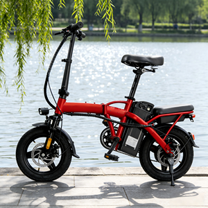 Bicicleta Eléctrica Plegable de 350W 48V, Ligera y Portátil, con Batería Extraíble, Frenos de Disco Dobles y Pantalla LCD para Adultos Urbanos - Product Image 1