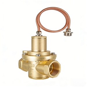 Tuyaux d'alimentation en eau Gaobei Y13X en laiton moulé DN15-DN65 à commande différentielle autonome -50°C à 100°C - Product Image 3
