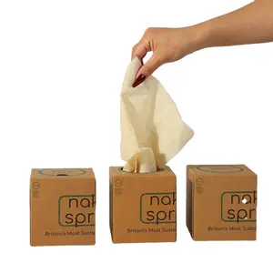 FSC Certificated Premium Raw Material Facial Tissue Cubic Box Bamboo Facial Tissue