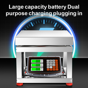 Bilancia a <span class=keywords><strong>Sgabello</strong></span> da 300 kg per Pesatura Oggetti Vivi, Realizzata in Acciaio Inossidabile Robusto - Product Image 3
