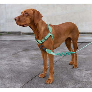 Soft Walk Pet Harness Army Green Adjustable For Dogs - Product Image 4
