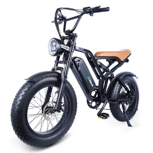 USA EU Warehouse Alloy 20 Inch Air Tires Electric Bike 1000W 48v 750w Vintage Electric Fat Tire Bike With Rear Seat