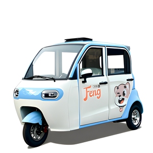 <span class=keywords><strong>Triciclo</strong></span> Eléctrico Pequeño Totalmente Cerrado, Vehículo Familiar de Baja Velocidad para Desplazamientos, Vehículo para Mujeres y Personas Mayores - Product Image 5