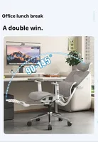 Chaise de bureau ergonomique de gaming Brother Sloths avec accoudoirs réglables en maille, design minimaliste moderne et support lombaire
