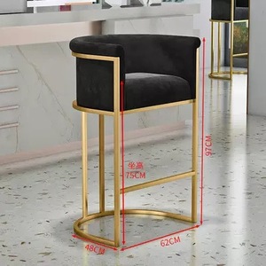 Modern Leisure Iron High <b>Stool</b> Luxury Scandinavian Backrest for Outdoor Home Beauty Salon Barber Shop-Factory Hot Sale Chair - Product Image 2