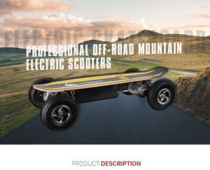 Skateboard Elettrico con Autenticazione CE RoHS FCC Design Urbano Off-Road Conciso Guida Invece di Camminare 800W 36V 14AH Prezzo all'Ingrosso - Product Image 4