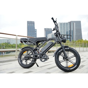Zerogo Fatbike Bike Mountain Eu Fatbike V20 Pro E-bike Netherlands Adultos Factory Price V20pro Fahrrad Occupation Costs Bisicle - Product Image 2