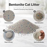 Litière pour chat en bentonite purement naturelle et biodégradable, agglomérante, contrôle des odeurs, parfum lavande, forme de boule, emballage OEM disponible