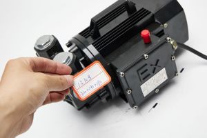 Manufacturer-Customized High-Performance 750W Motor Self Priming Ex-proof Oil Transfer <b>Pump</b> 5-40L/min Flow Range Fully ZS-B09 - Product Image 6