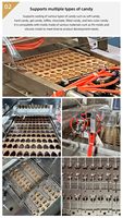 Fruitgummi snoepmachines, zoete chocolade en zachte snoepmachines