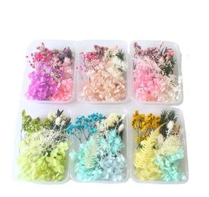 Nieuwe Aankomst Droge Bloemen Aromatherapie Kaars Diy Materialen Echte Natuurlijke Gedroogde Bloem Voor Hars Kunst En Fotolijst Decoratie - Product Image 2