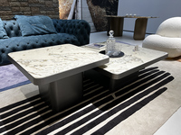 Table Basse en Pierre Naturelle de Luxe avec Écran Décoratif Paon Blanc et Style Marbre – Collection Haut de Gamme pour Salon