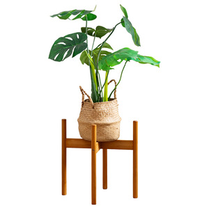 Soporte de madera para plantas suculentas, móvil, para interiores, para balcón, sala de estar y sala de estar principal. - Product Image 5