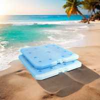 Congélateur à plaque eutectique PCM -22C, grande brique de glace réutilisable pour aliments, matériau HDPE/PE isolé thermiquement pour chariot à glaces