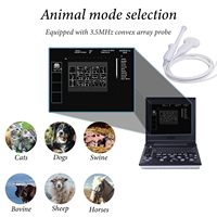 Échographe vétérinaire noir et blanc EUR VET avec écran LCD LED HD de 12,1 pouces, interface à double sonde et fonction d'optimisation à une touche