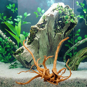 <span class=keywords><strong>Aquarium</strong></span> <span class=keywords><strong>Aquarium</strong></span> Landschapsarchitectuur Decoratie Natuurlijke Rododendron Wortel Drijfhout - Product Image 4