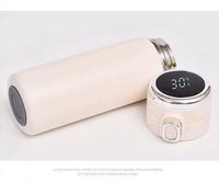 Bouteille isotherme personnalisée en gros de 400 ml, tasse thermos en acier inoxydable isolée, flacon sous vide pour thé et café avec filtre