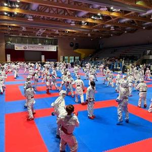 Artículos deportivos Tatami Puzzle Mats Interlocking Eva Foam Ejercicio Floor Tile 2 CM Karate Judo Bjj Taekwondo Wrestling Mat - Product Image 5