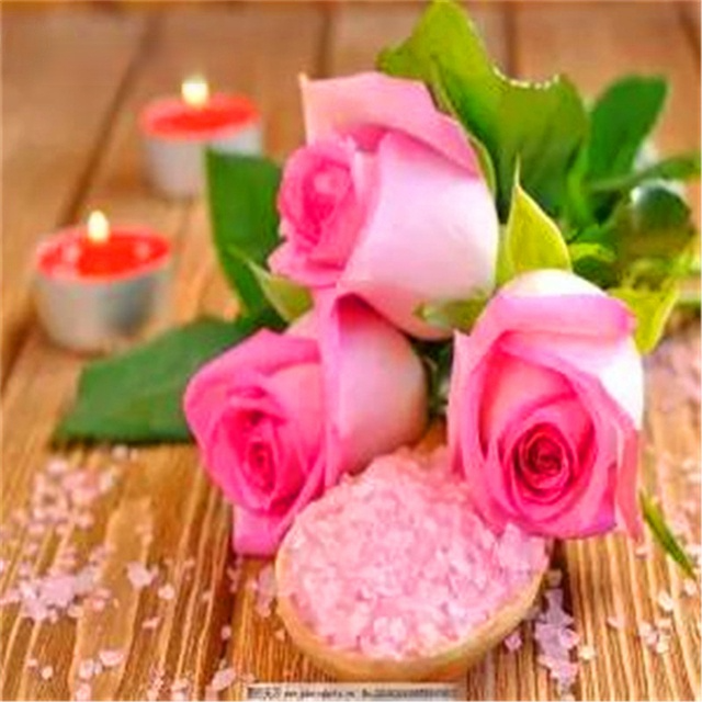 50 шт./пакет многоцветный цветок розы Семена Садовый Семена-to-live горшечных семян