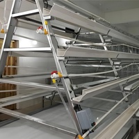 Vente Flash : Cage à poulets de type A pour élevage commercial de volailles |   Équipement avicole à haute efficacité