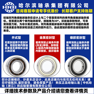 Rodamientos de bolas de contacto angular Hrb 3206atn de doble hilera fabricados en China para plantas de fabricación - Product Image 2