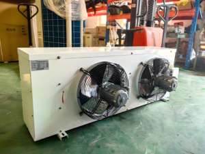 حاويات شحن مبردة قائمة بذاتها من تشينغداو سوك ، خضروات وفواكه طازجة ، أنواع مختلفة من كوبلاند - Product Image 6