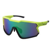 Lunettes de soleil de sport pour le cyclisme avec cadre TR90 personnalisé, protection UV400, pour femmes et hommes, noires, grande taille, avec étui