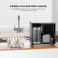 Refroidisseur d'eau CW5000 pour installation sous évier, robinet double fonction pour eau réfrigérée et à température ambiante, réservoir d'eau renforcé haute résistance